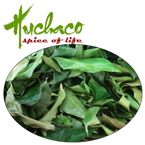 GIA VỊ NÔNG SẢN HUCHACO