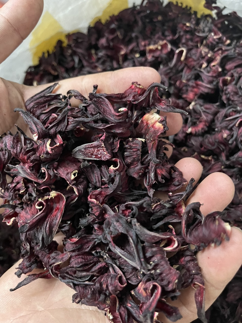 hoa atiso đỏ khô